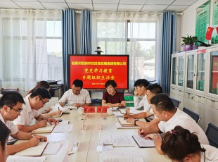 臨夏州凱潤農(nóng)牧投資發(fā)展集團有限公司 召開黨史學習教育專題組織生活會